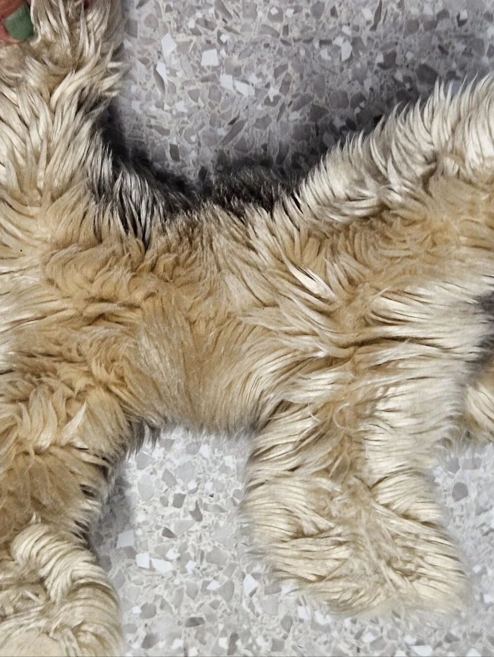 Douglas Shaggy Plush Terrier Dog Stuffed Animal Gray & Tan Realistic 2017